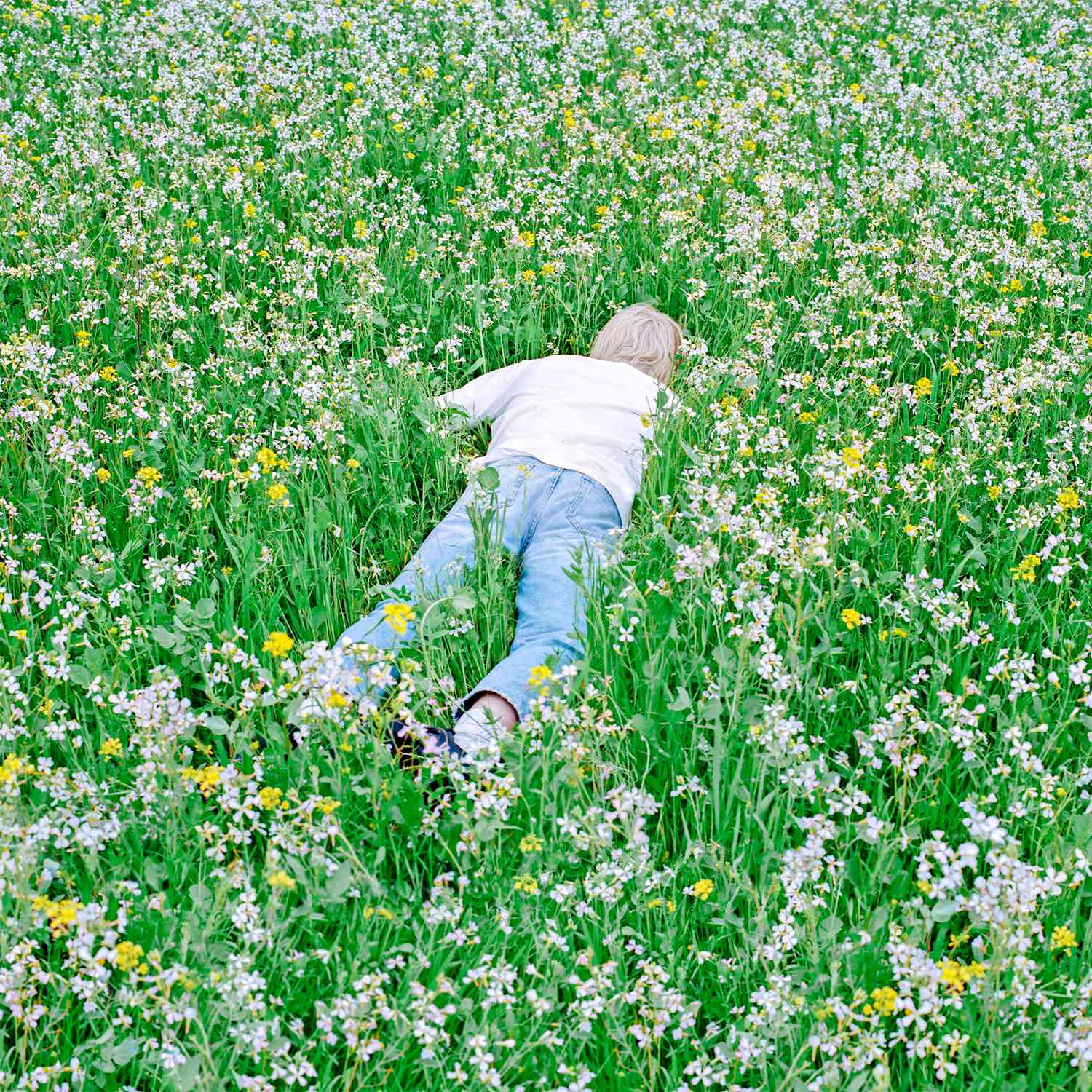Nurture album cover